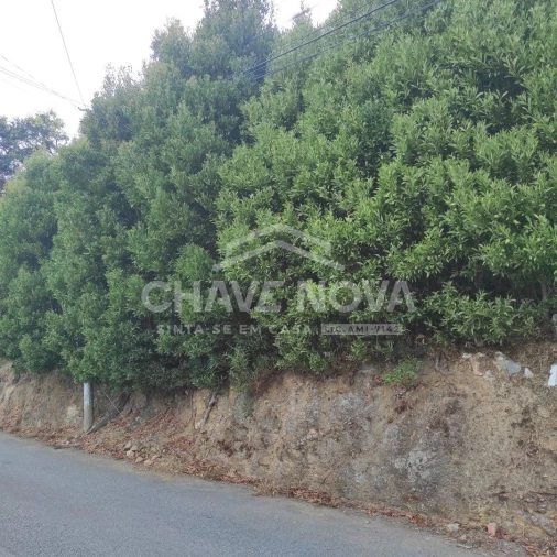 Terreno para Venda em Gulpilhares e Valadares Foto 3
