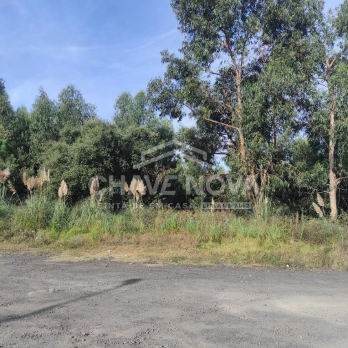 Terreno para Venda em Gulpilhares e Valadares Foto 6