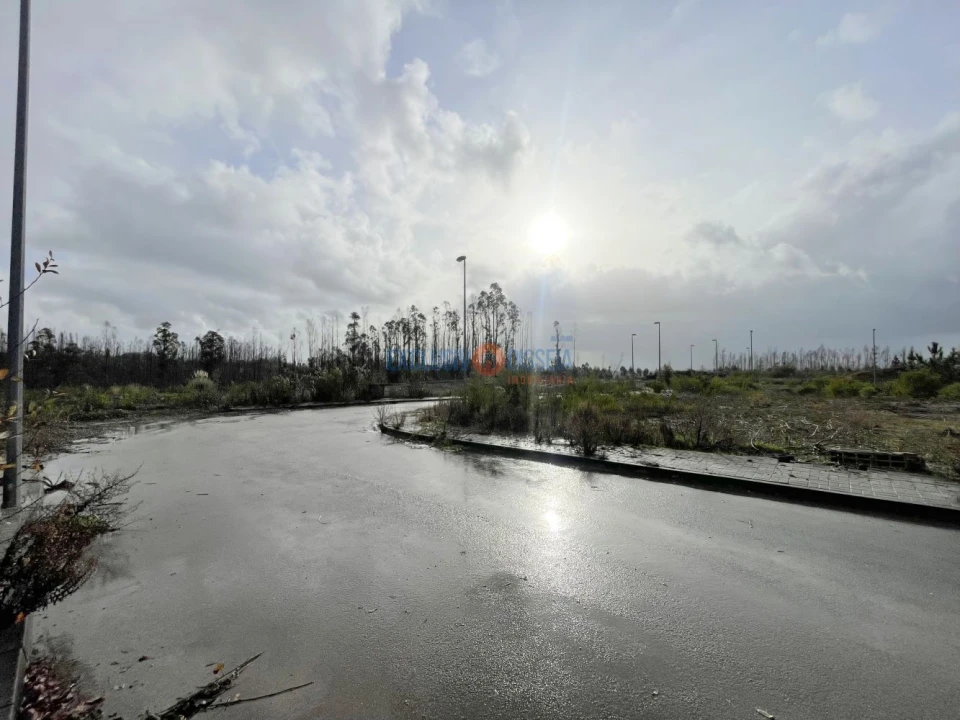 Terreno para Venda em Valongo do Vouga Foto 9