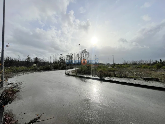 Terreno para Venda em Valongo do Vouga Foto 9