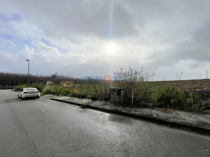 Terreno para Venda em Valongo do Vouga Foto 12