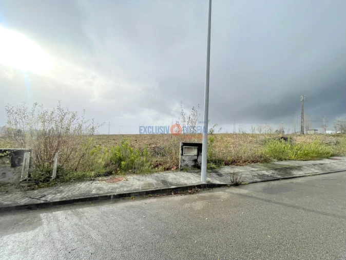 Terreno para Venda em Valongo do Vouga Foto 3
