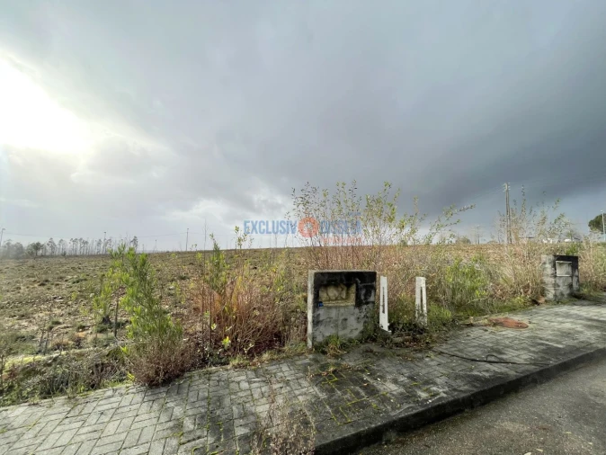 Terreno para Venda em Valongo do Vouga Foto 7