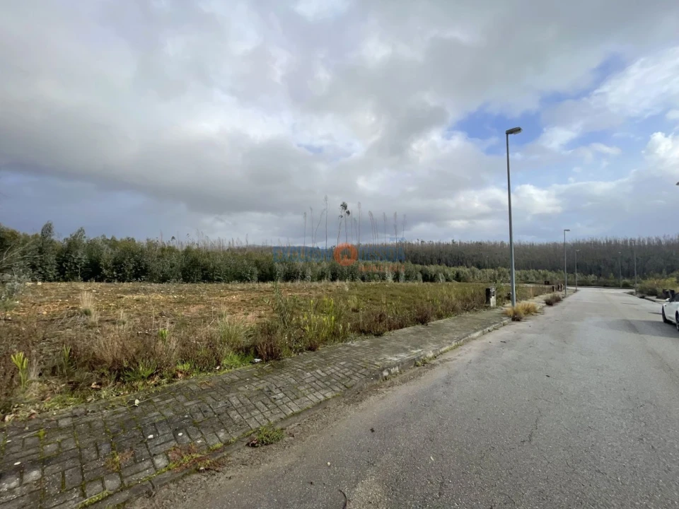 Terreno para Venda em Valongo do Vouga Foto 14
