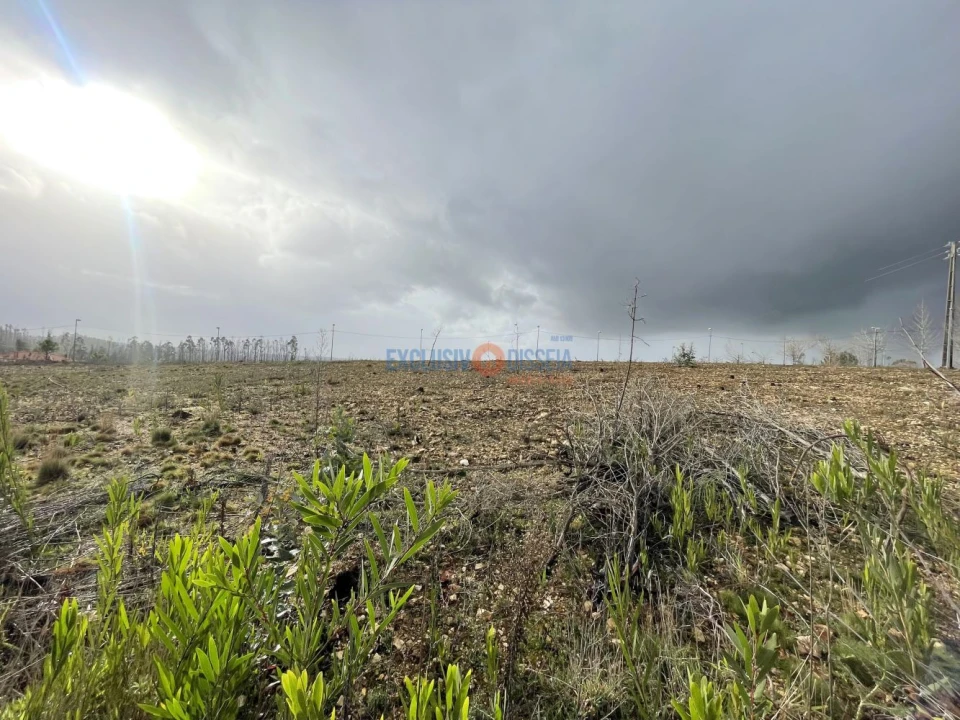 Terreno para Venda em Valongo do Vouga Foto 11