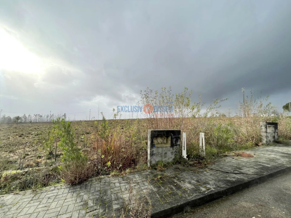 Terreno para Venda em Valongo do Vouga Foto 7
