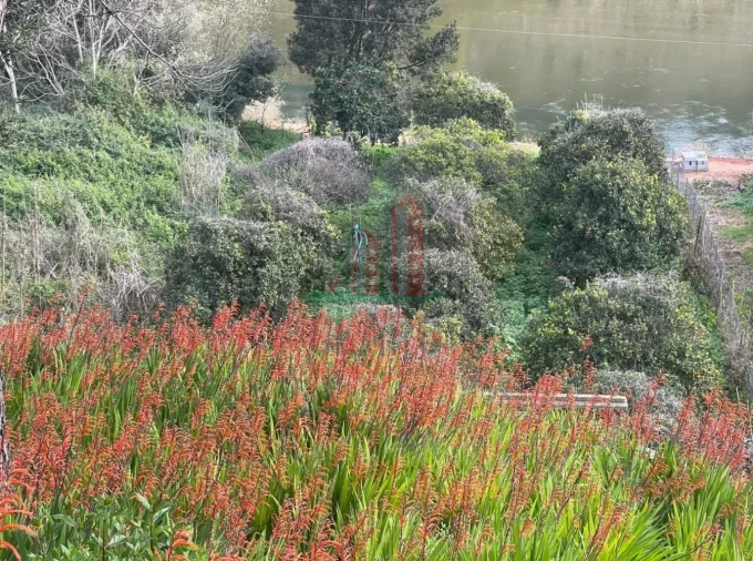Terreno para Venda em Torres do Mondego Foto 2