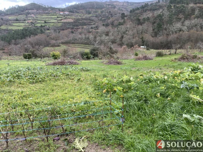 Moradia T2 para Venda em Resende Foto 22