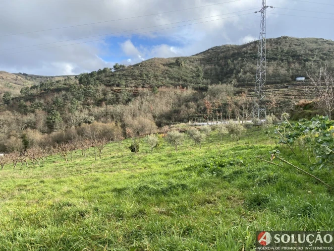 Moradia T2 para Venda em Resende Foto 6