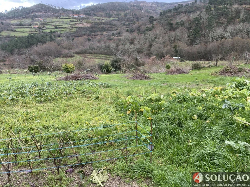 Moradia T2 para Venda em Resende Foto 22