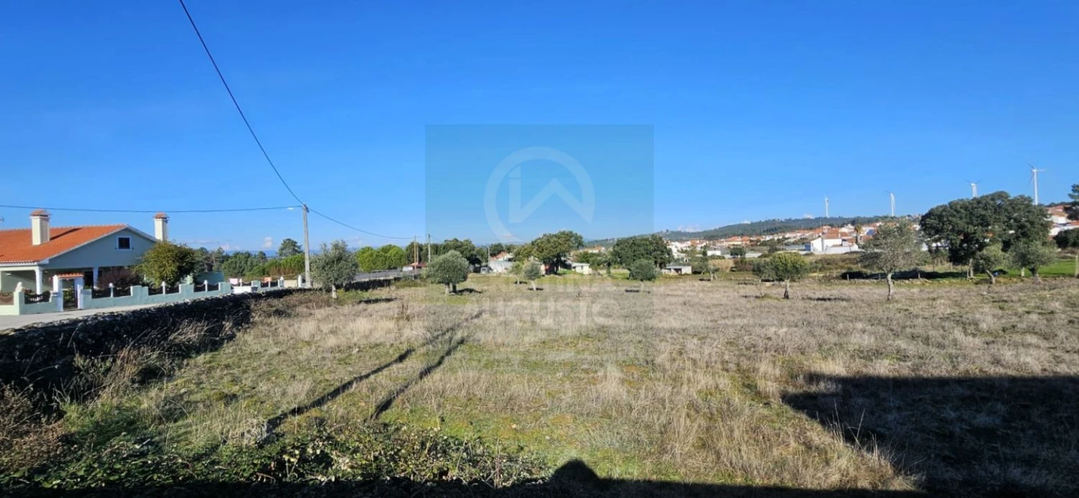 Terreno para Venda em Cebolais de Cima e Retaxo Foto 5