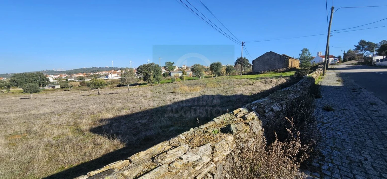 Terreno para Venda em Cebolais de Cima e Retaxo Foto 2