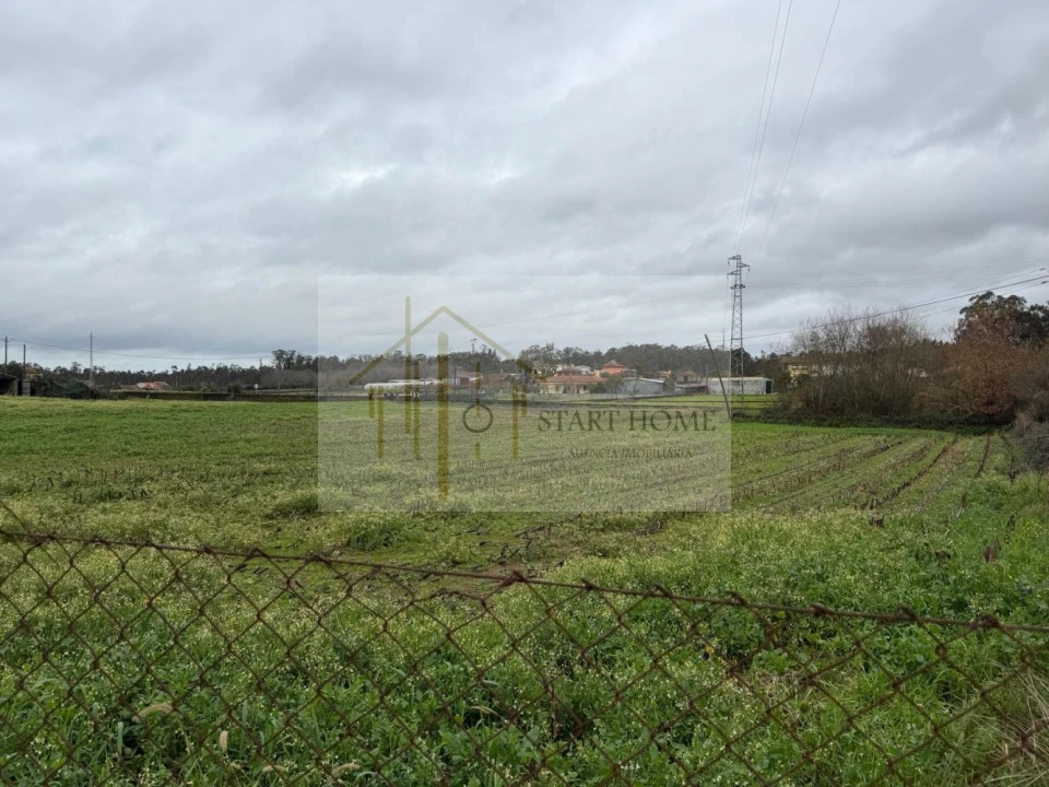 Terreno para Venda em Avanca Foto 2