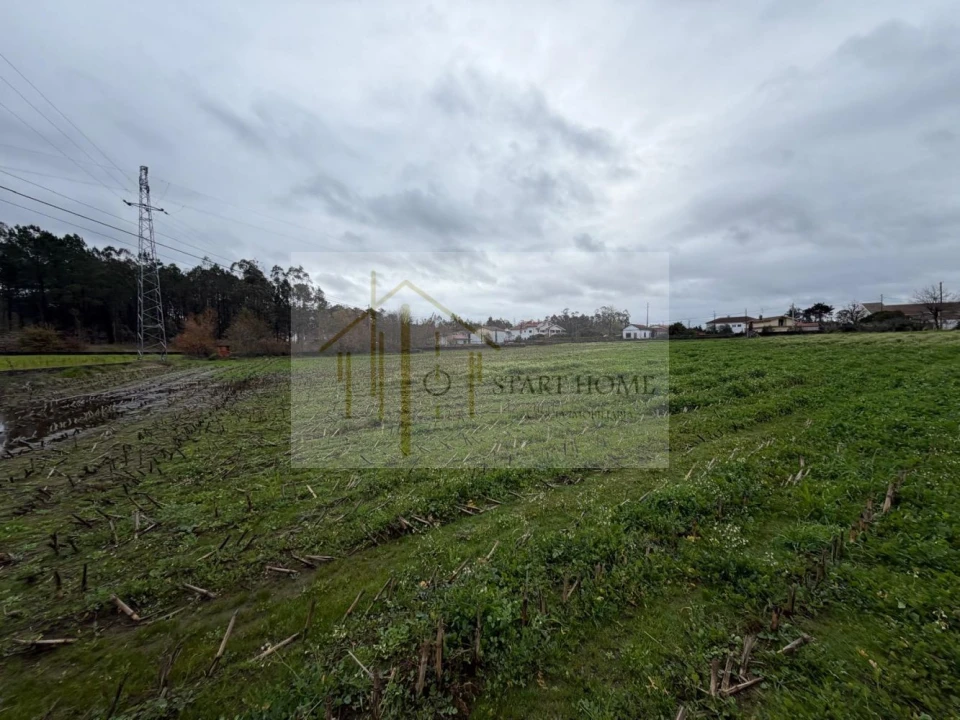 Terreno para Venda em Avanca Foto 11