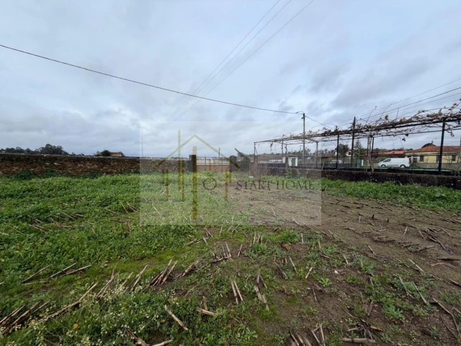 Terreno para Venda em Avanca Foto 9