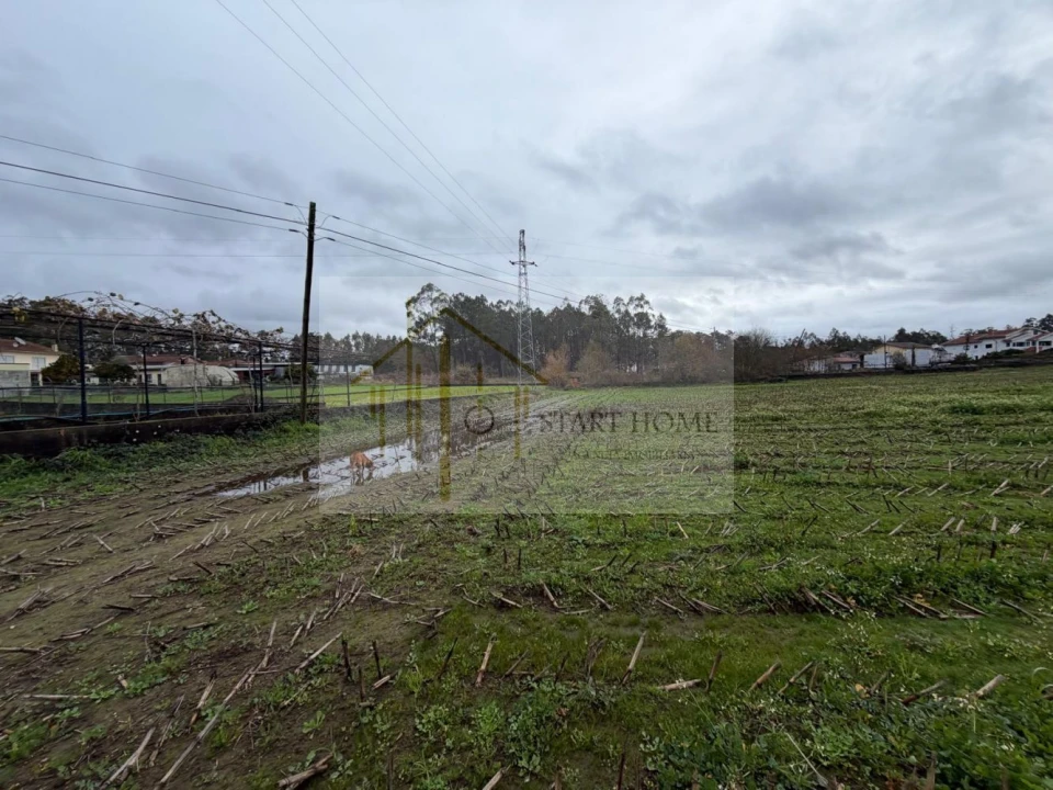Terreno para Venda em Avanca Foto 10