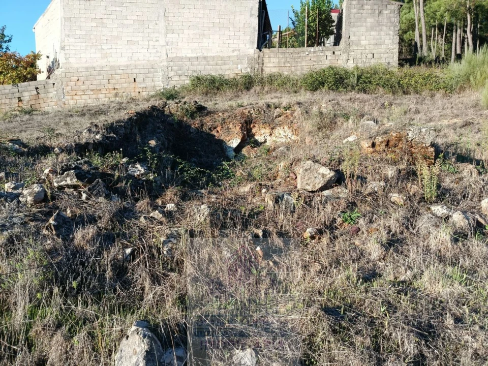 Terreno para Venda em Carragozela e Várzea de Meruge Foto 11