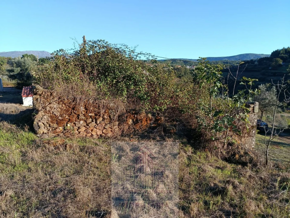 Terreno para Venda em Carragozela e Várzea de Meruge Foto 9