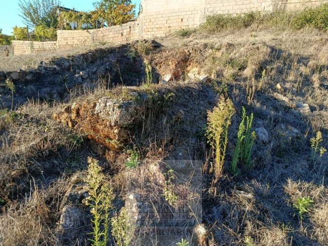 Terreno para Venda em Carragozela e Várzea de Meruge Foto 12