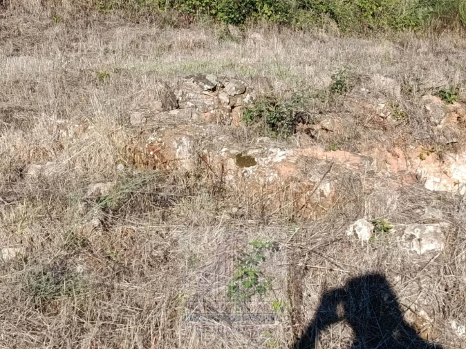 Terreno para Venda em Carragozela e Várzea de Meruge Foto 13