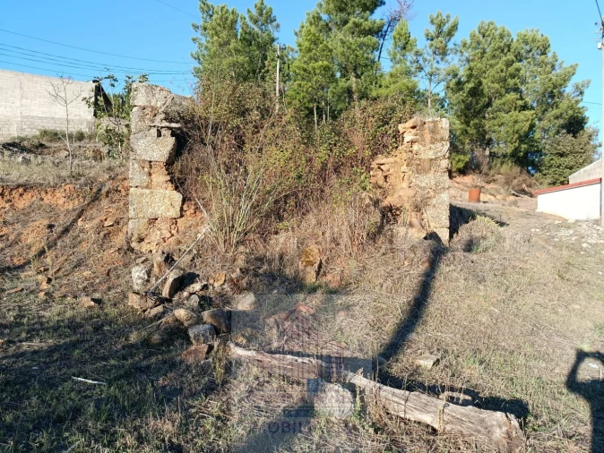 Terreno para Venda em Carragozela e Várzea de Meruge Foto 8