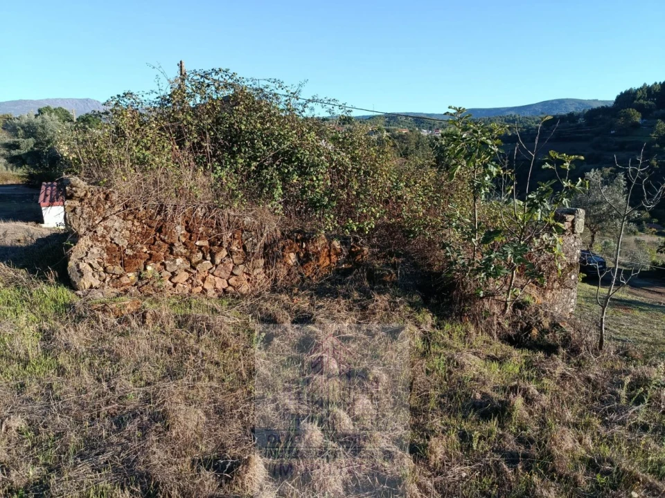Terreno para Venda em Carragozela e Várzea de Meruge Foto 10
