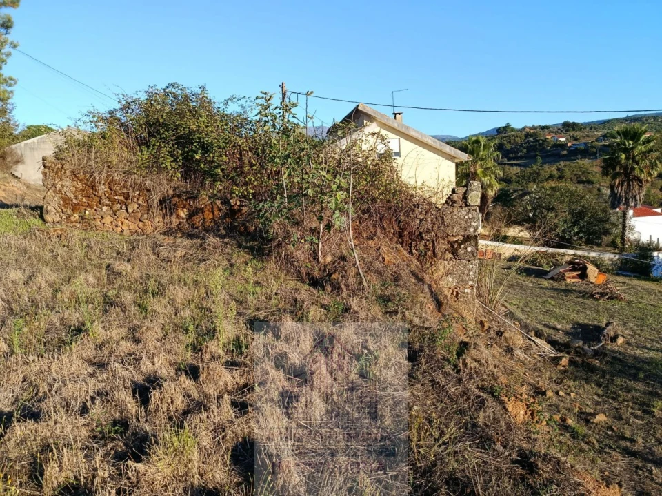 Terreno para Venda em Carragozela e Várzea de Meruge Foto 20