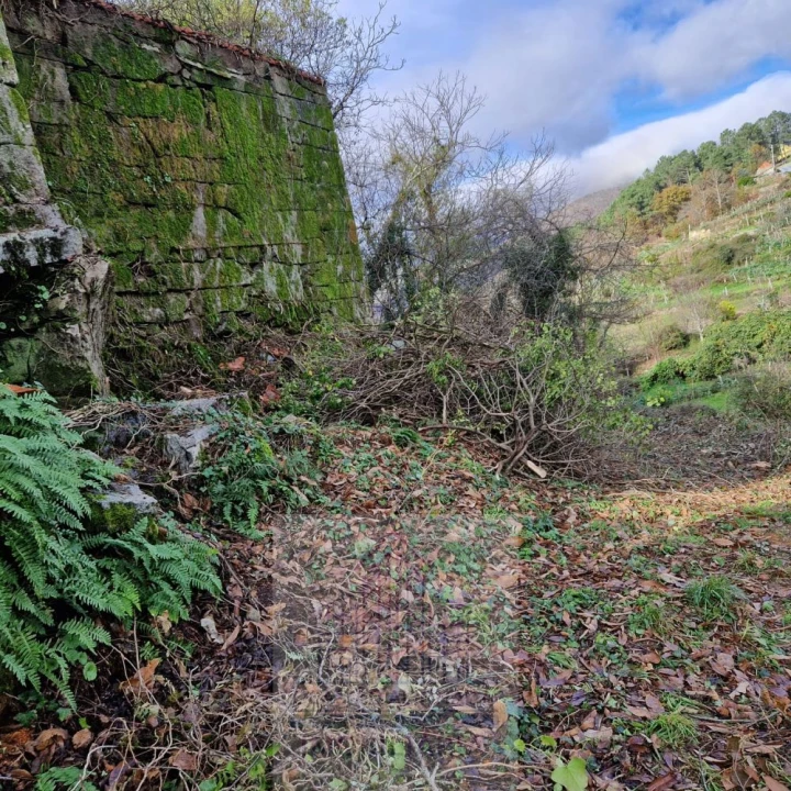 Moradia T2 para Venda em Castro Daire Foto 15