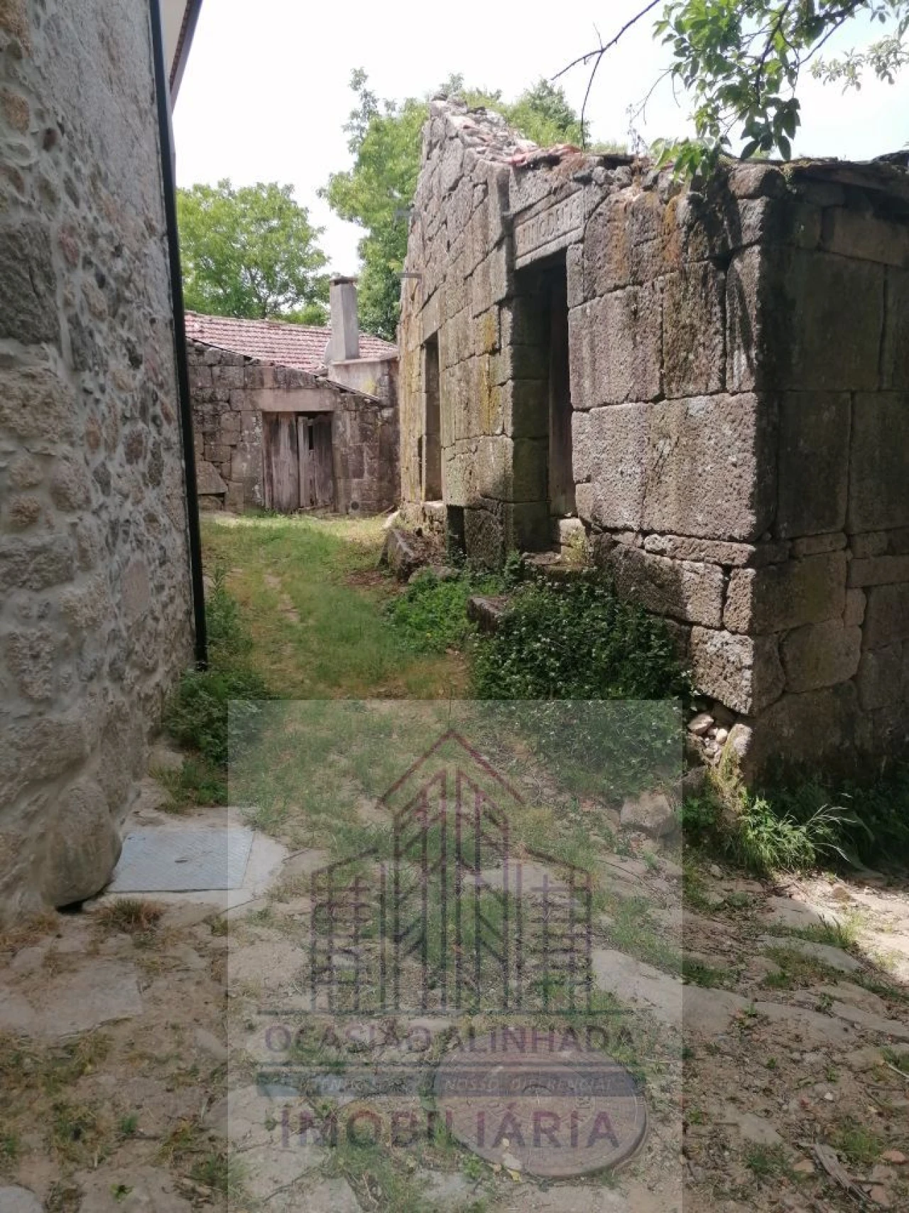 Moradia T2 para Venda em Castro Daire Foto 3