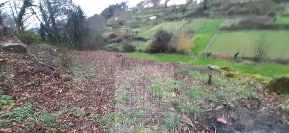 Moradia T2 para Venda em Castro Daire