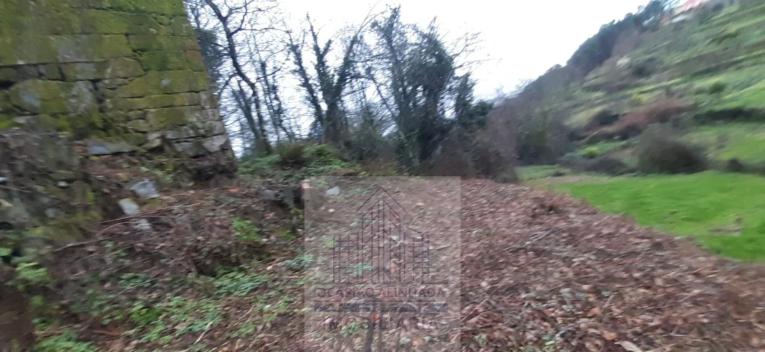 Moradia T2 para Venda em Castro Daire Foto 20