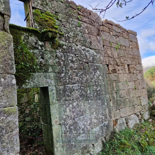 Moradia T2 para Venda em Castro Daire Foto 10