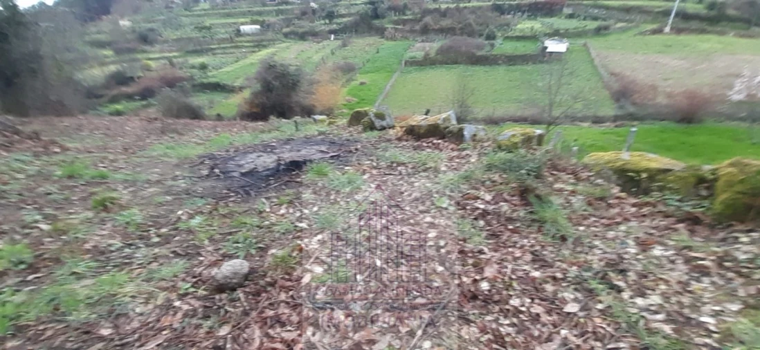 Moradia T2 para Venda em Castro Daire Foto 23