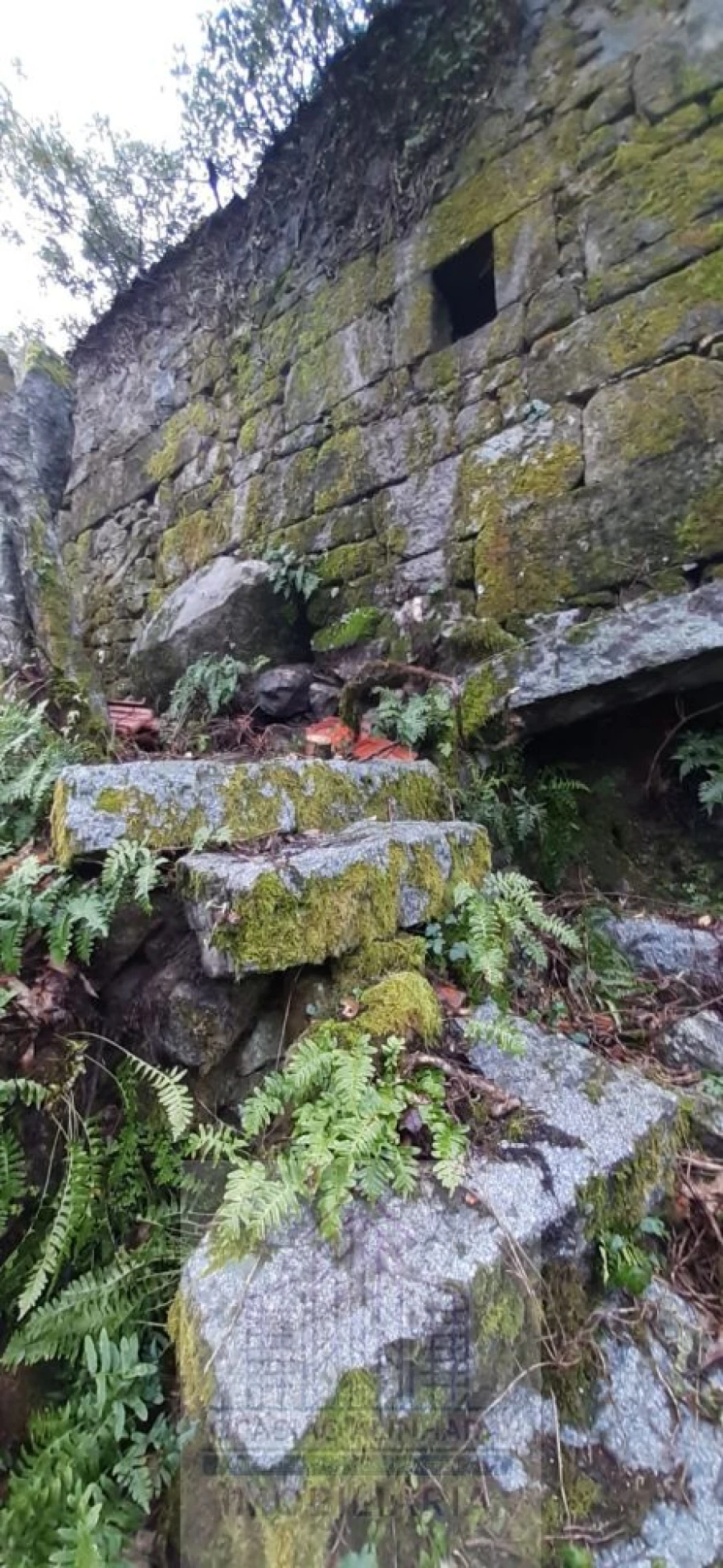 Moradia T2 para Venda em Castro Daire Foto 18