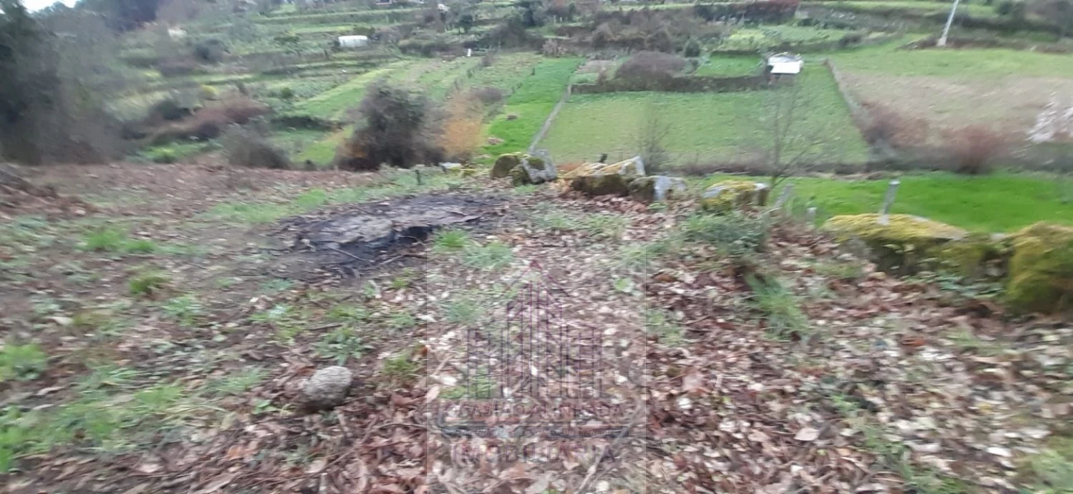 Moradia T2 para Venda em Castro Daire Foto 23