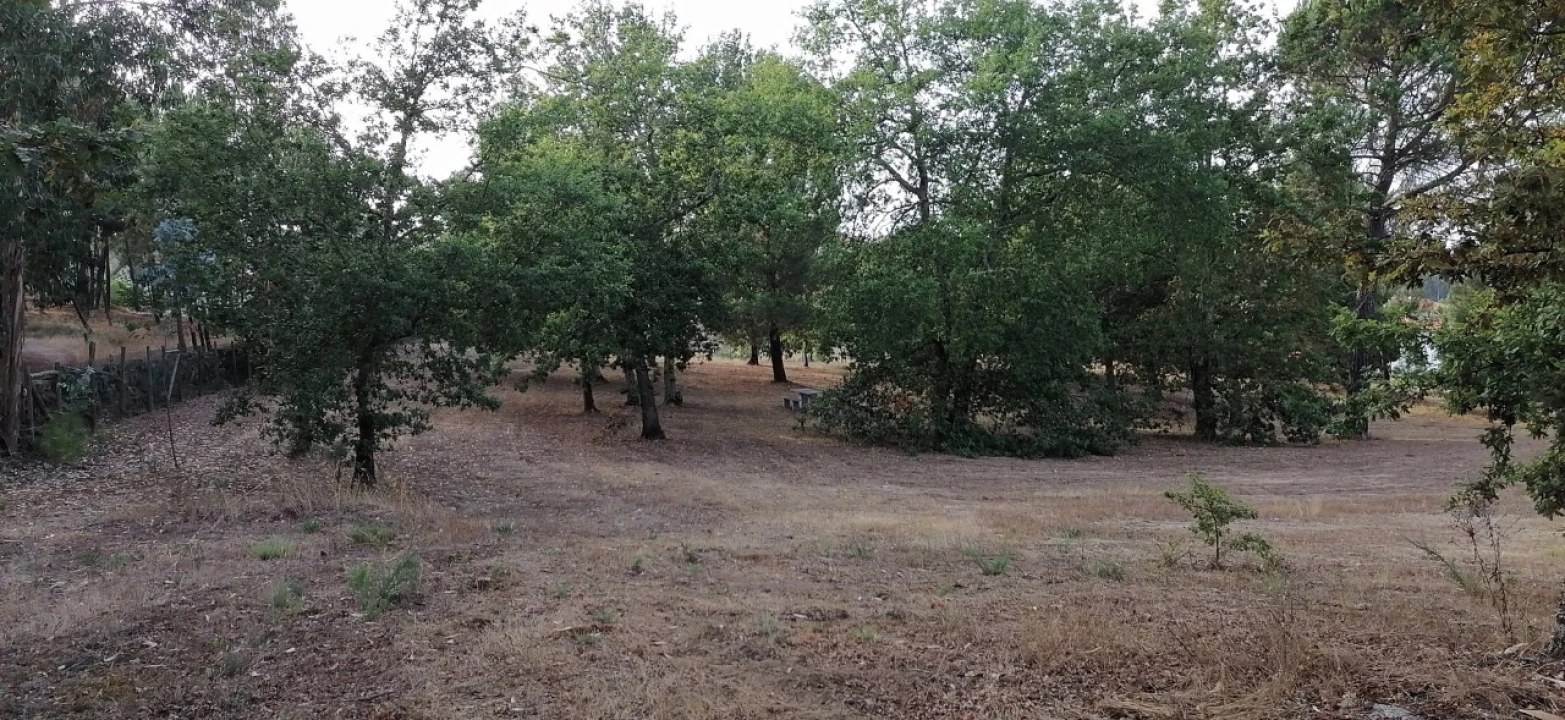 Terreno para Venda em Rio Torto e Lagarinhos Foto 12