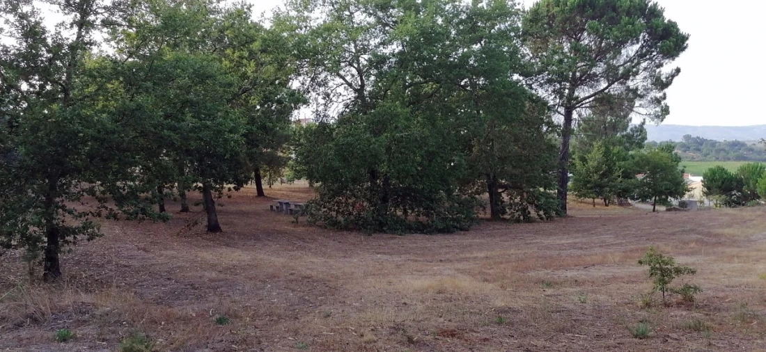 Terreno para Venda em Rio Torto e Lagarinhos Foto 11