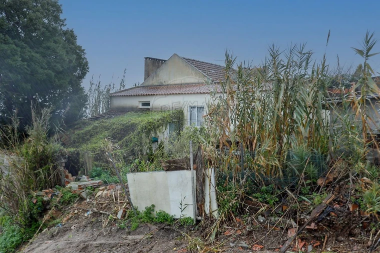 Moradia T3 para Venda em Salir de Matos Foto 32