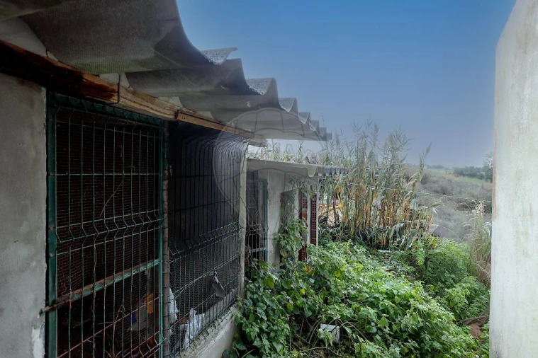 Moradia T3 para Venda em Salir de Matos Foto 25