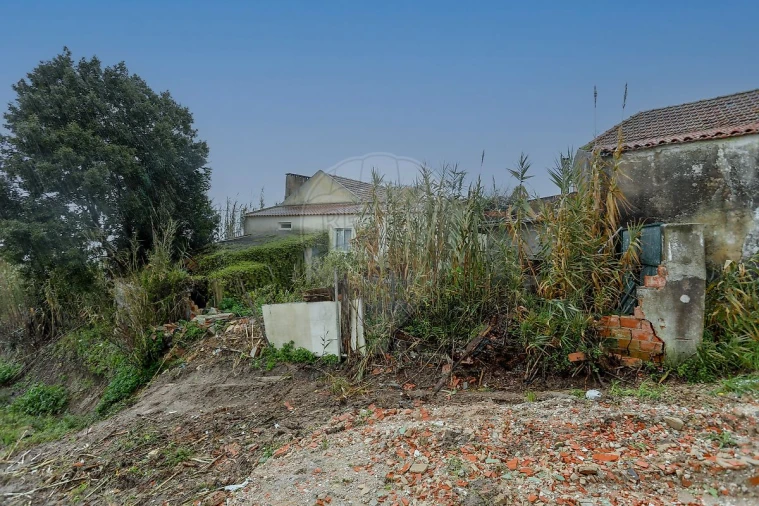 Moradia T3 para Venda em Salir de Matos Foto 31