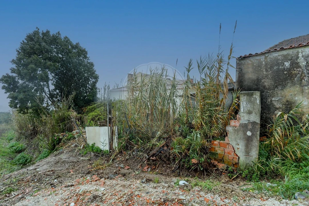 Moradia T3 para Venda em Salir de Matos Foto 30