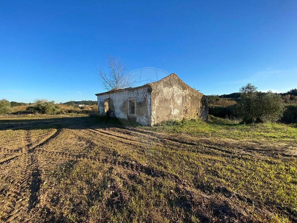 Moradia para Venda em São João da Ribeira e Ribeira de São João Foto 9