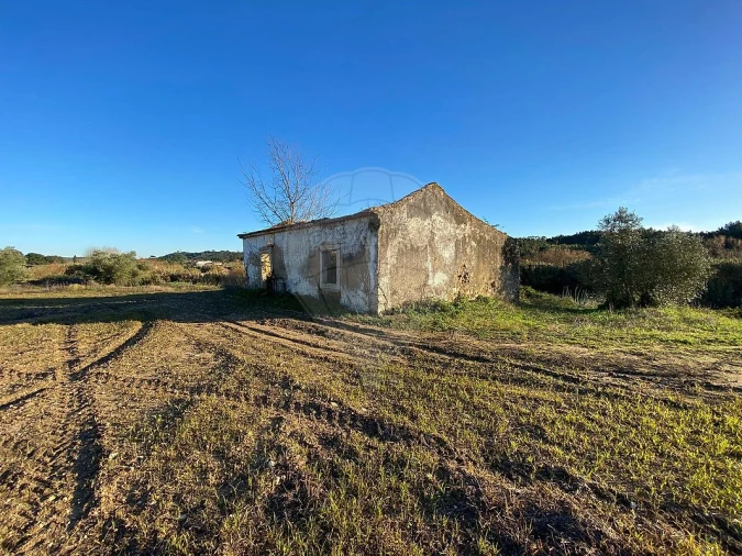 Moradia para Venda em São João da Ribeira e Ribeira de São João Foto 9