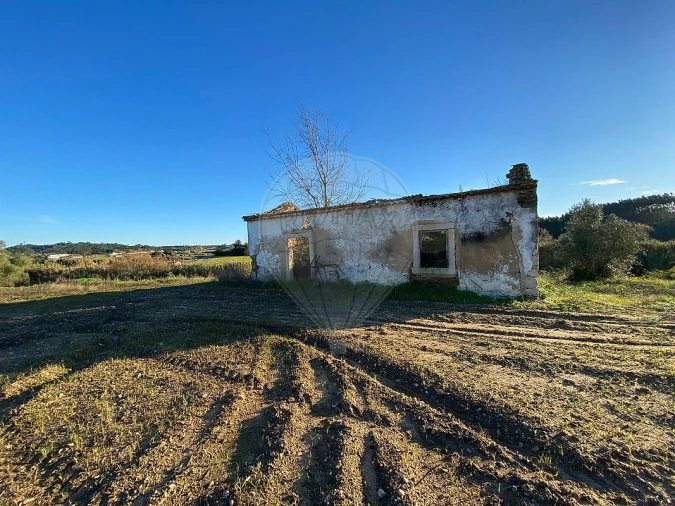 Moradia para Venda em São João da Ribeira e Ribeira de São João