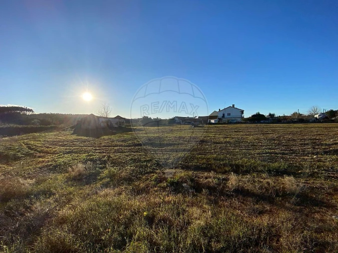 Moradia para Venda em São João da Ribeira e Ribeira de São João Foto 6