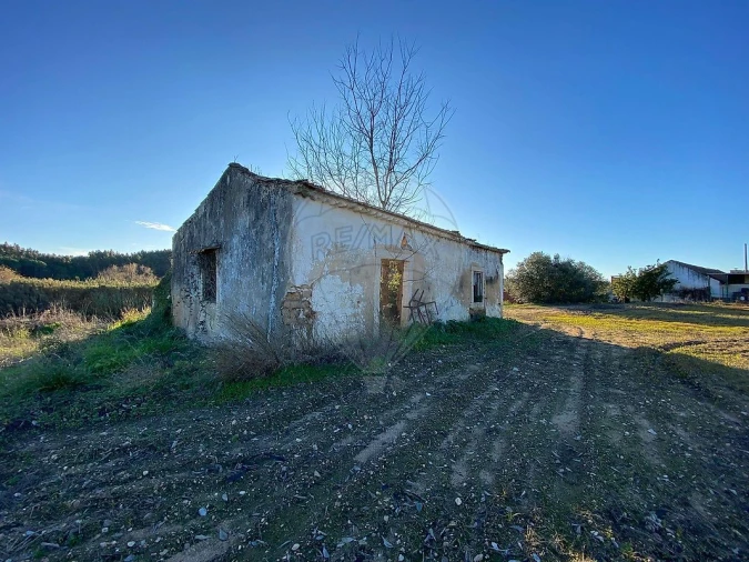 Moradia para Venda em São João da Ribeira e Ribeira de São João Foto 5