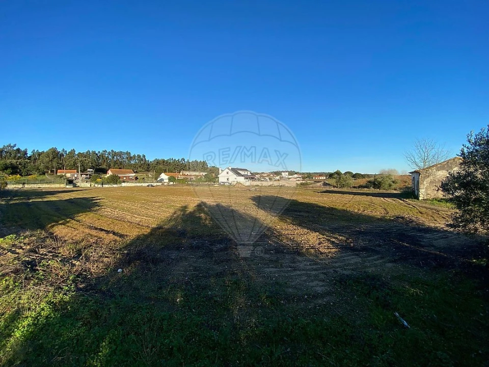 Moradia para Venda em São João da Ribeira e Ribeira de São João Foto 7