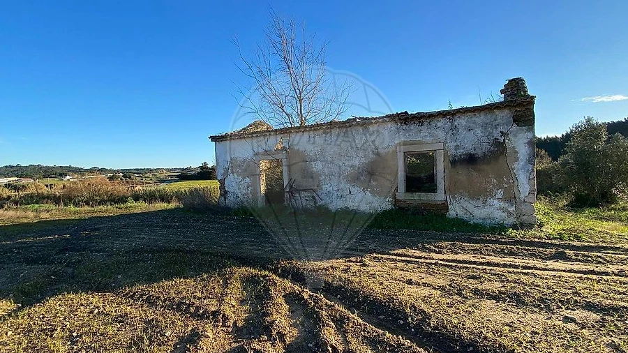 Moradia para Venda em São João da Ribeira e Ribeira de São João