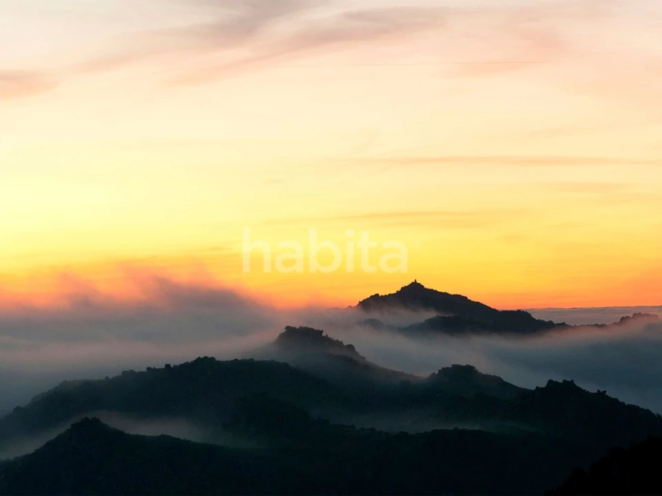 Terreno para Venda em Guardão Foto 17