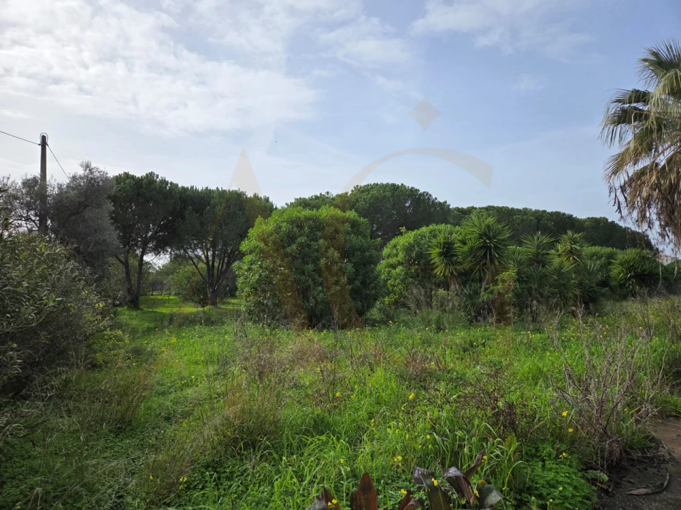 Moradia T5 para Venda em Moncarapacho e Fuseta Foto 41